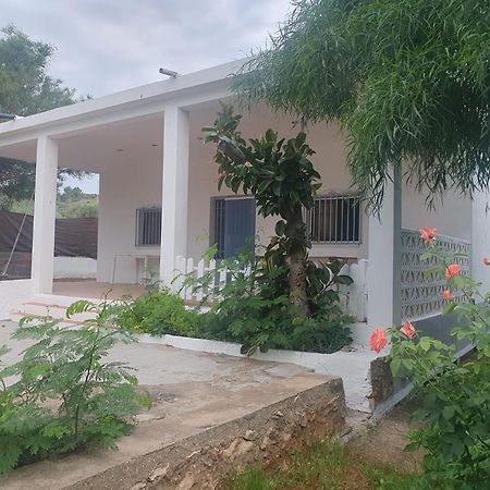 Casa Campo Con Piscina Y Barbacoa Para 6 Personas En Plena Naturaleza Picassent Extérieur photo
