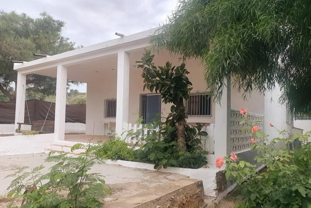 Casa Campo Con Piscina Y Barbacoa Para 6 Personas En Plena Naturaleza Picassent Extérieur photo