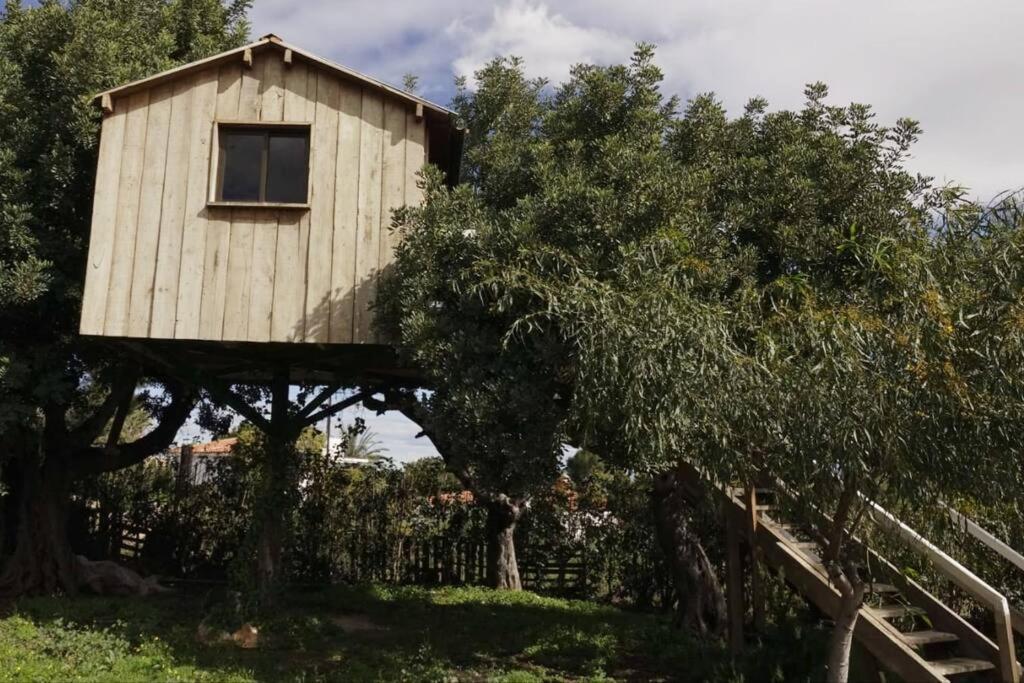 Casa Campo Con Piscina Y Barbacoa Para 6 Personas En Plena Naturaleza Picassent Extérieur photo