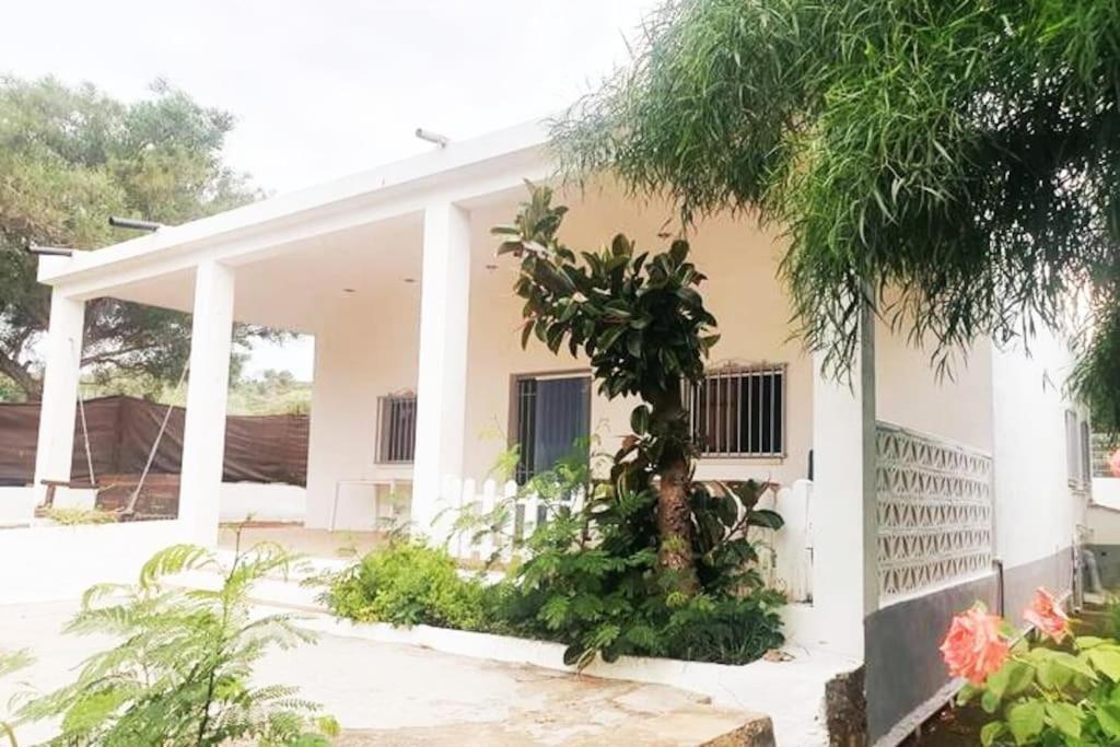 Casa Campo Con Piscina Y Barbacoa Para 6 Personas En Plena Naturaleza Picassent Extérieur photo